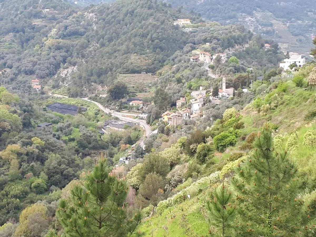 Il Casotto Del Nonno Apartment Ventimiglia Italy